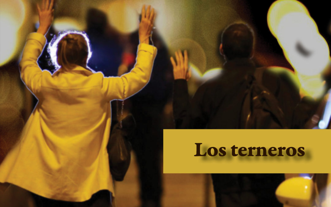 Los terneros