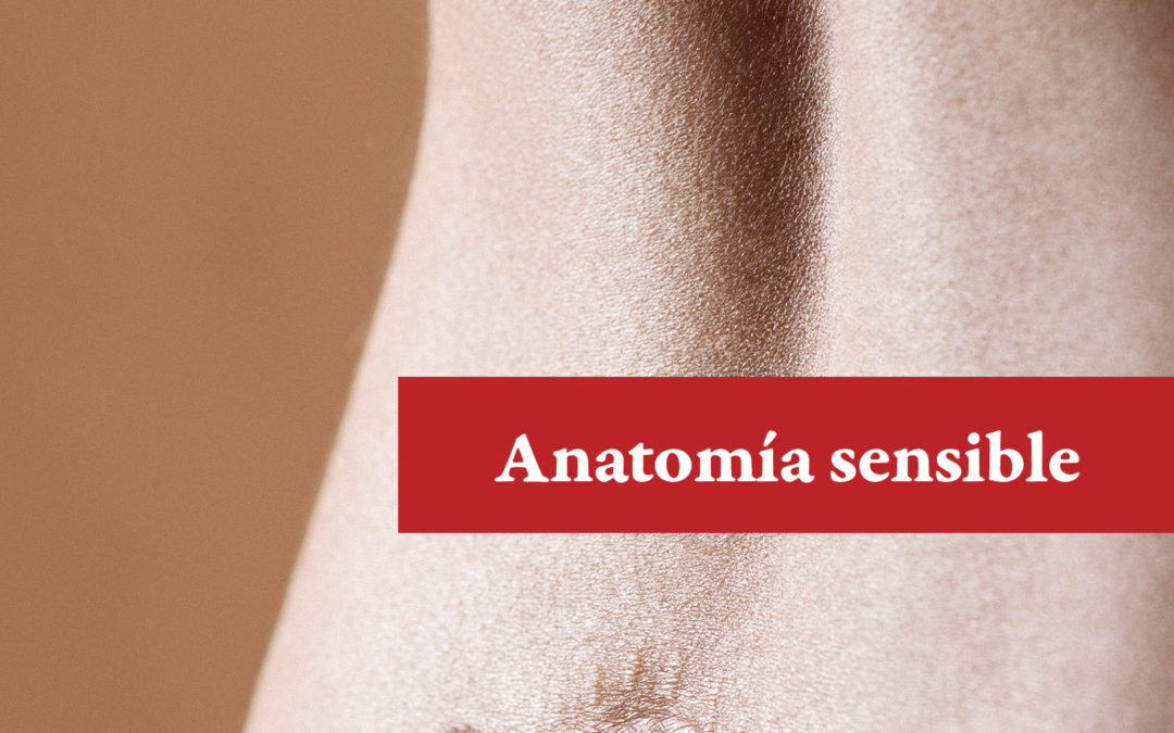 Anatomía sensible