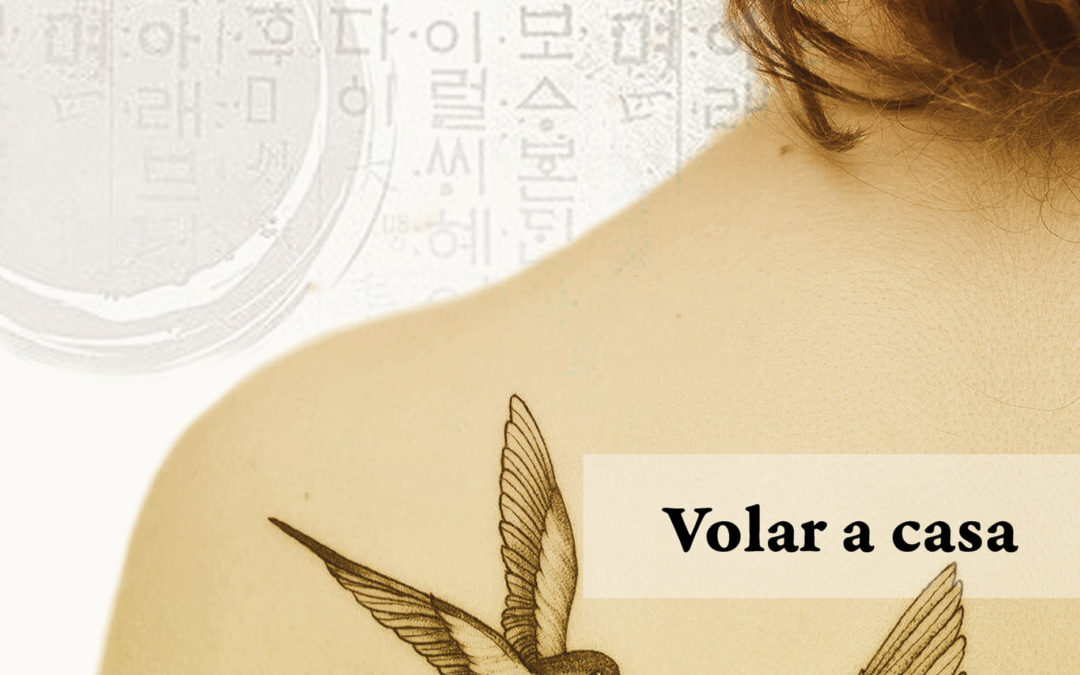 Volar a casa