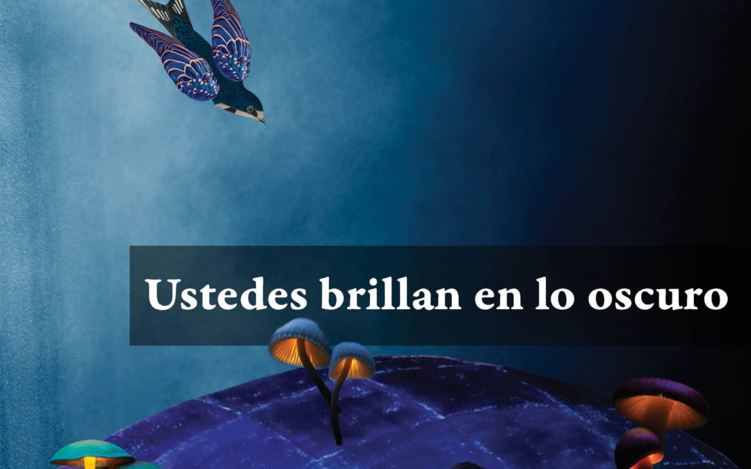 Ustedes brillan en lo oscuro