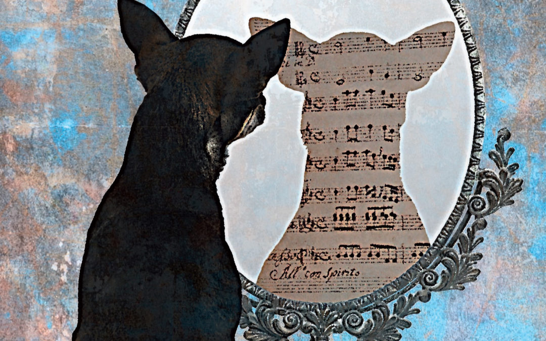 El perro que comía silencio