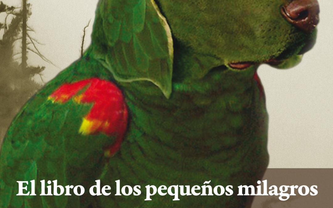 El libro de los pequeños milagros