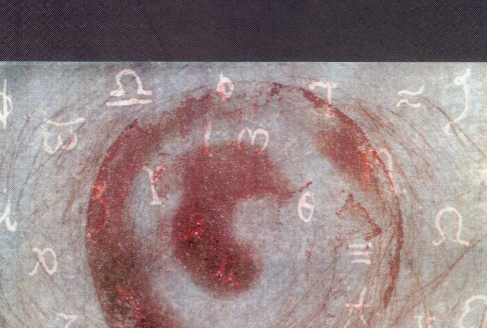 Lenguaje colateral