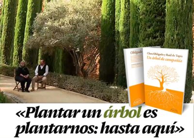 Un árbol de compañía en Culturas 2