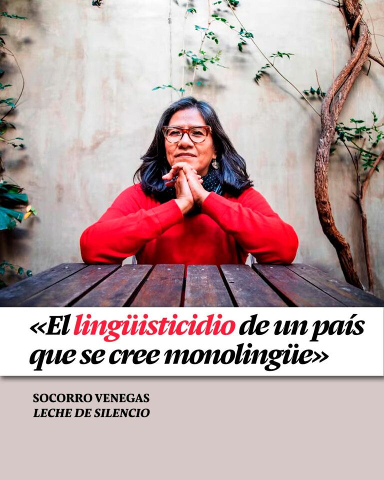Página/12 entrevista a Socorro Venegas